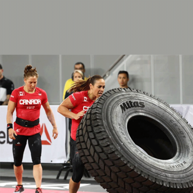 تصویر شاخص مقاله