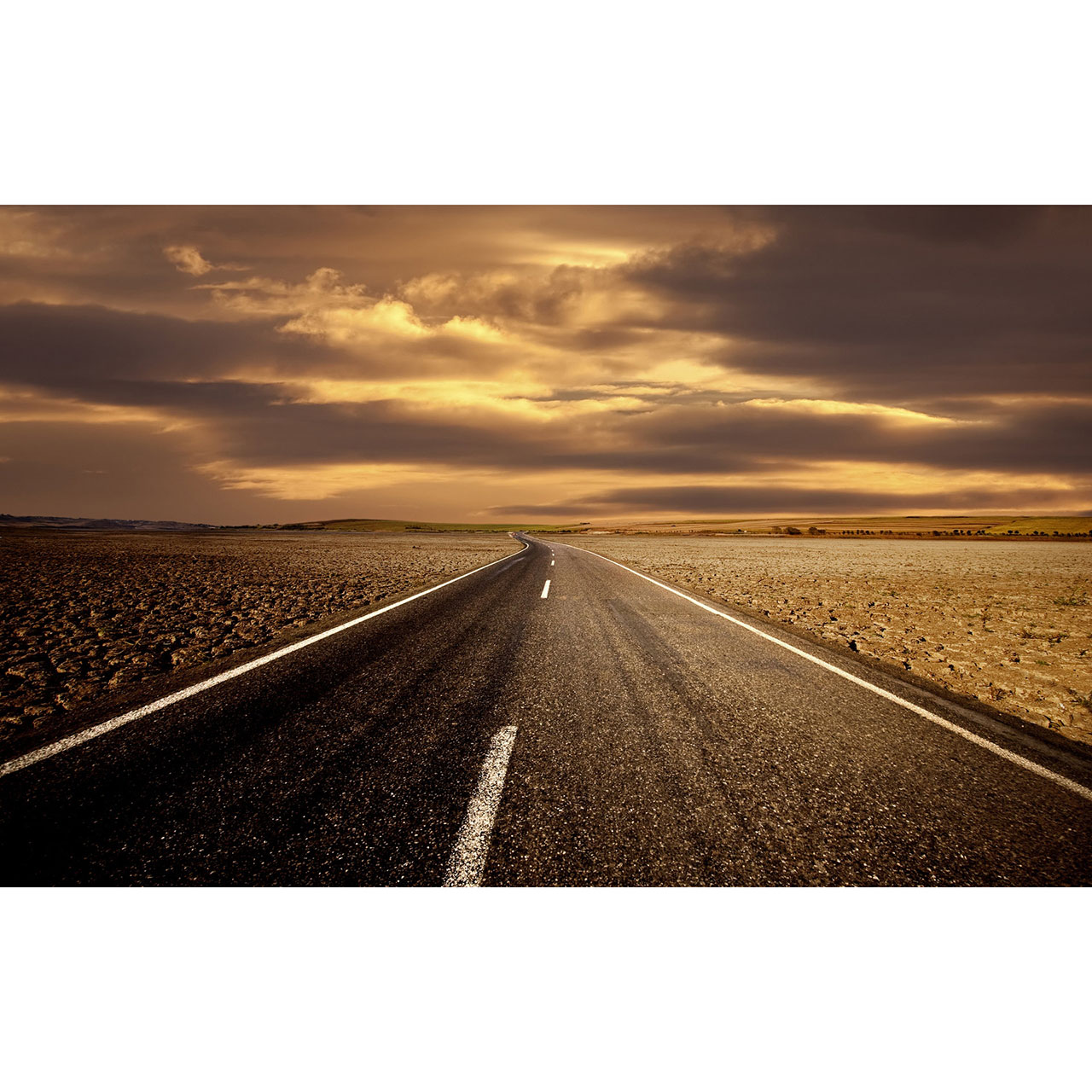 تصویر شاخص مقاله